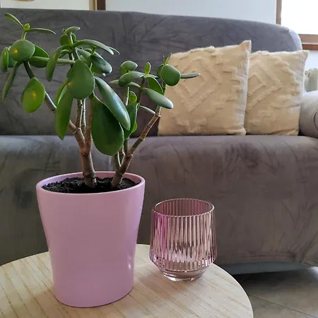 Panorama Mera Apartamento *